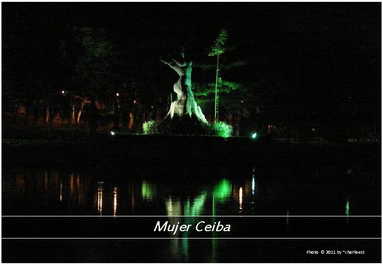 Mujer Ceiba Photo © 2011 by ~charlieest 