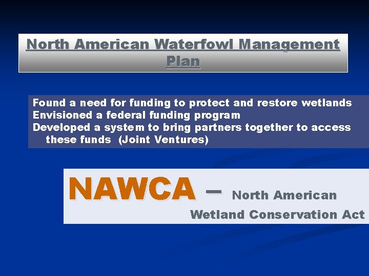 North American Waterfowl Management Plan Found a need for funding to protect and restore