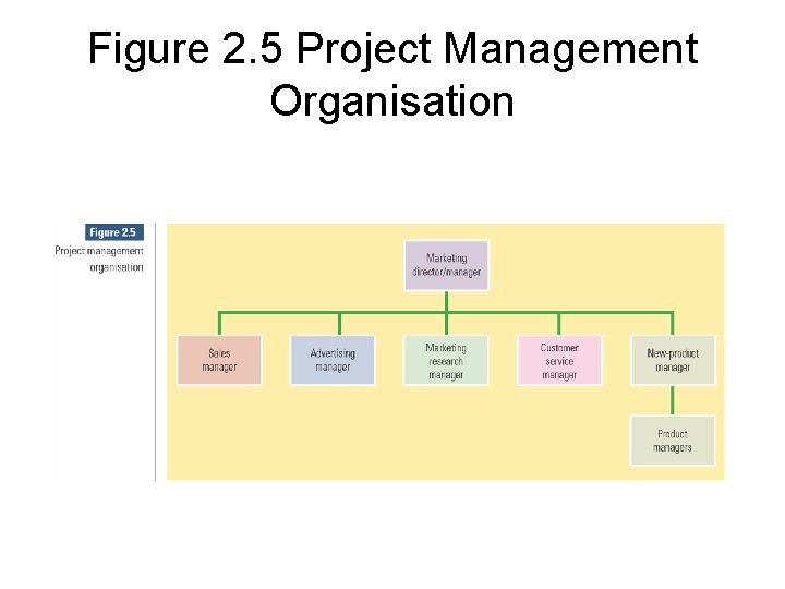 Figure 2. 5 Project Management Organisation 