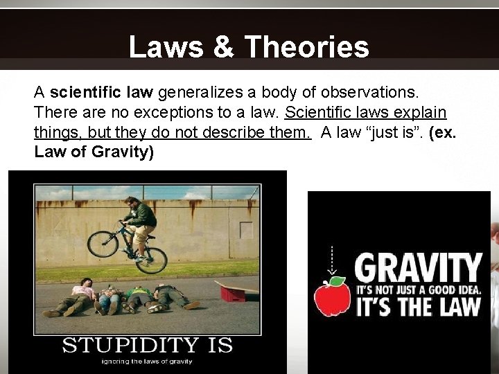 Laws & Theories A scientific law generalizes a body of observations. There are no