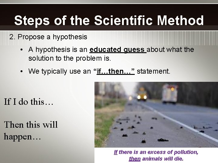Steps of the Scientific Method 2. Propose a hypothesis • A hypothesis is an