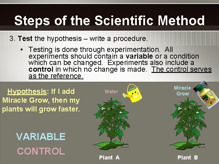 Steps of the Scientific Method 3. Test the hypothesis – write a procedure. •