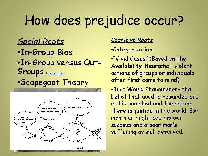 How does prejudice occur? Social Roots • In-Group Bias • In-Group versus Out. Groups