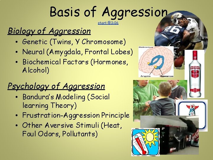 Basis of Aggression Biology of Aggression start @3: 06 • Genetic (Twins, Y Chromosome) Basis of Aggression Biology of Aggression start @3: 06 • Genetic (Twins, Y Chromosome)