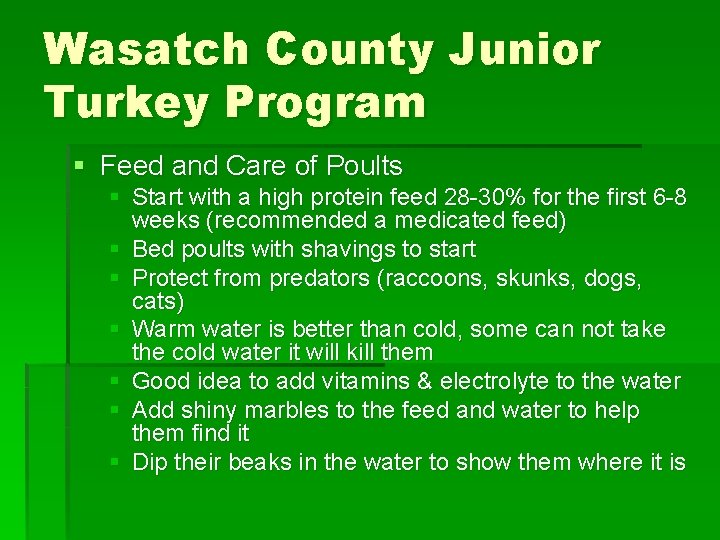 Wasatch County Junior Turkey Program § Feed and Care of Poults § Start with