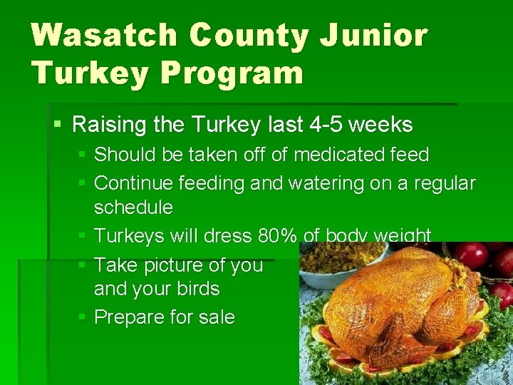 Wasatch County Junior Turkey Program § Raising the Turkey last 4 -5 weeks §