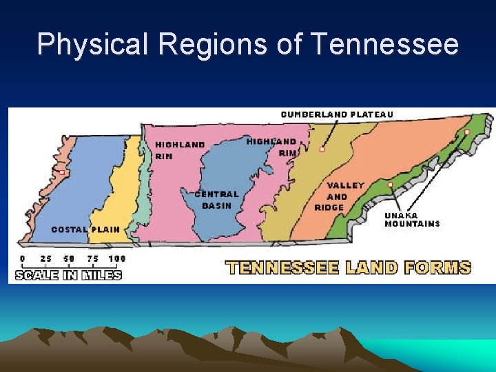Physical Regions of Tennessee 