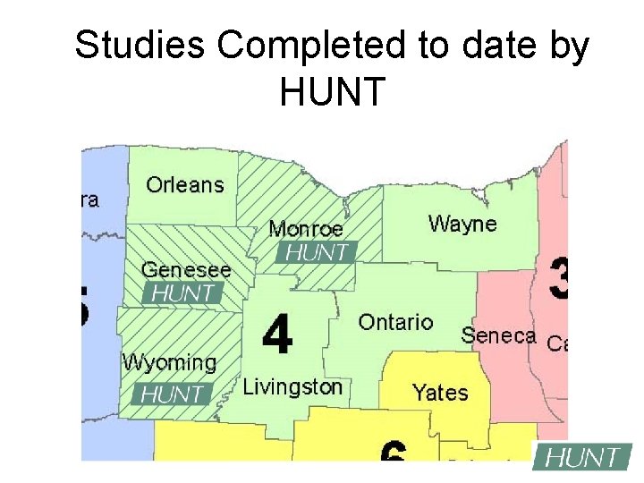 Studies Completed to date by HUNT 