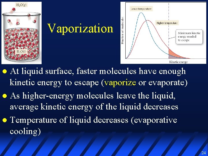 Vaporization At liquid surface, faster molecules have enough kinetic energy to escape (vaporize or