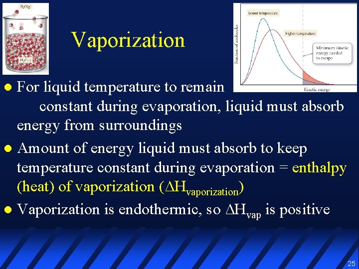 Vaporization For liquid temperature to remain constant during evaporation, liquid must absorb energy from