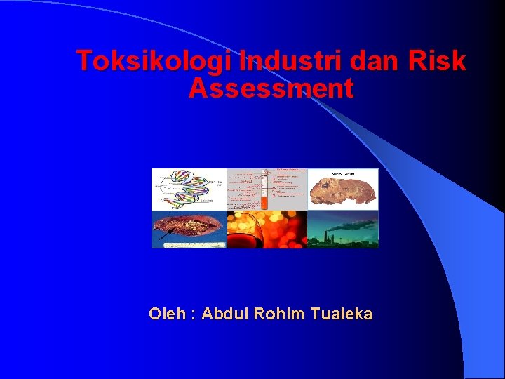 Toksikologi Industri dan Risk Assessment Oleh : Abdul Rohim Tualeka 