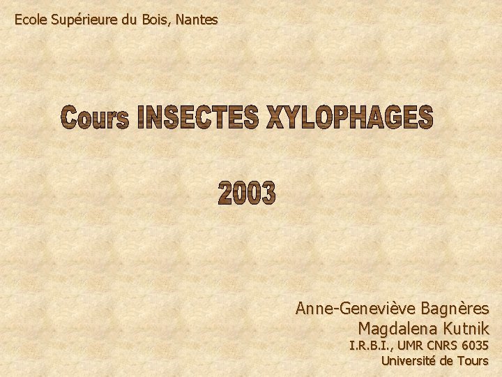 Ecole Supérieure du Bois, Nantes Anne-Geneviève Bagnères Magdalena Kutnik I. R. B. I. ,