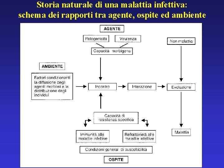 Storia naturale di una malattia infettiva: schema dei rapporti tra agente, ospite ed ambiente Storia naturale di una malattia infettiva: schema dei rapporti tra agente, ospite ed ambiente