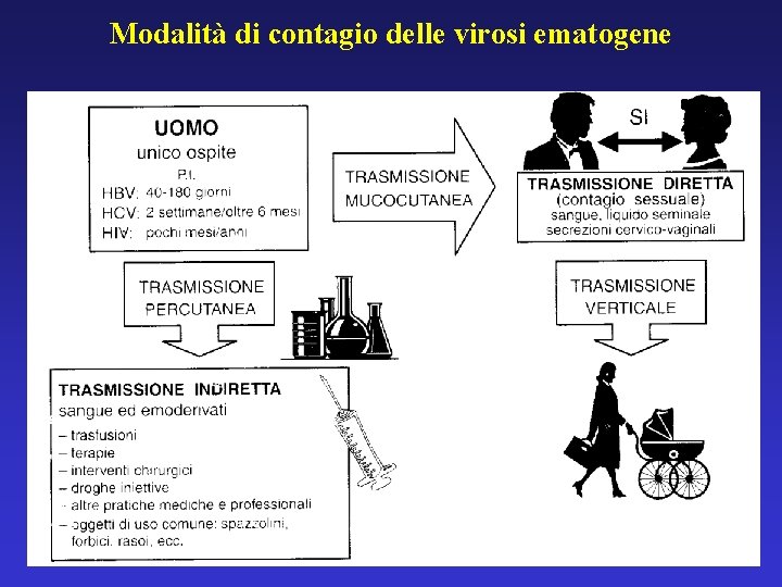 Modalità di contagio delle virosi ematogene 