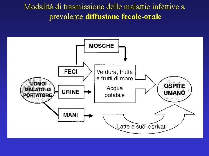 Modalità di trasmissione delle malattie infettive a prevalente diffusione fecale-orale 