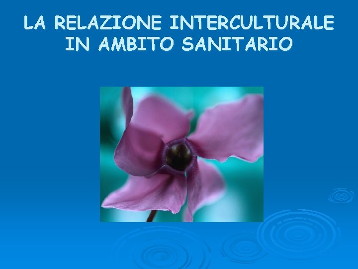 LA RELAZIONE INTERCULTURALE IN AMBITO SANITARIO 