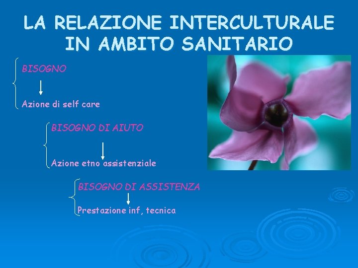 LA RELAZIONE INTERCULTURALE IN AMBITO SANITARIO BISOGNO Azione di self care BISOGNO DI AIUTO