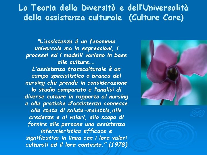 La Teoria della Diversità e dell’Universalità della assistenza culturale (Culture Care) “L’assistenza è un