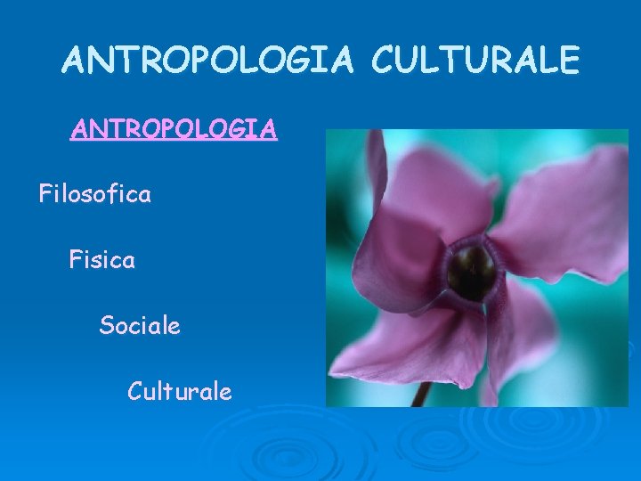 ANTROPOLOGIA CULTURALE ANTROPOLOGIA Filosofica Fisica Sociale Culturale 