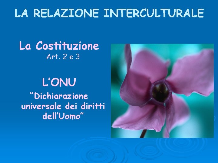 LA RELAZIONE INTERCULTURALE La Costituzione Art. 2 e 3 L’ONU “Dichiarazione universale dei diritti