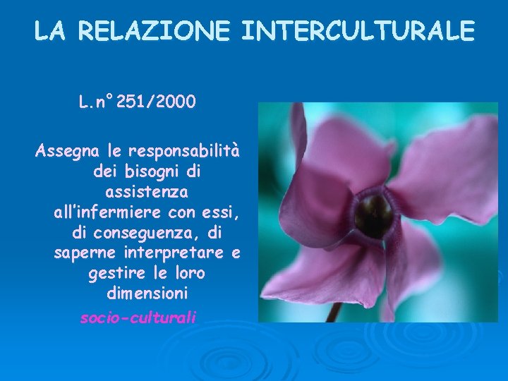 LA RELAZIONE INTERCULTURALE L. n° 251/2000 Assegna le responsabilità dei bisogni di assistenza all’infermiere