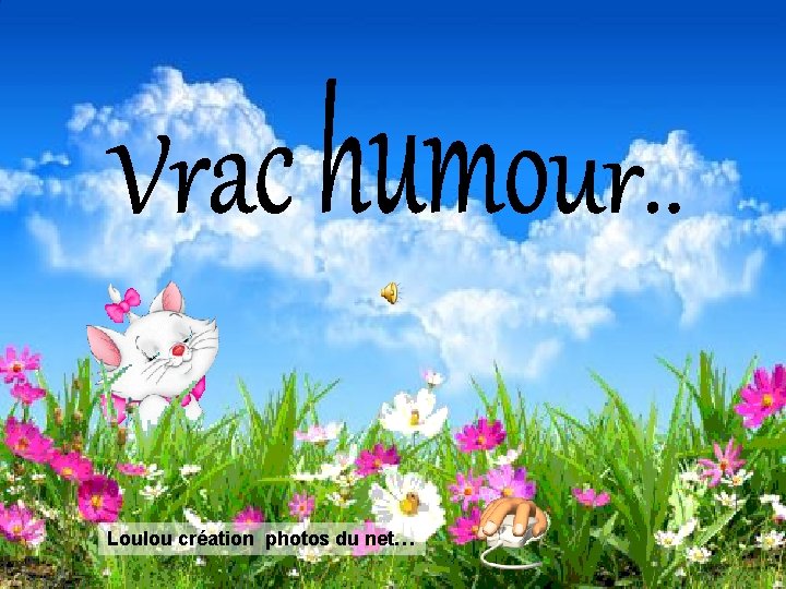 Loulou création photos du net… 