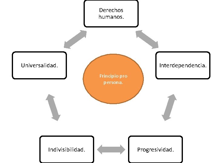 Derechos humanos. Universalidad. Interdependencia. Principio pro persona. Indivisibilidad. Progresividad. 