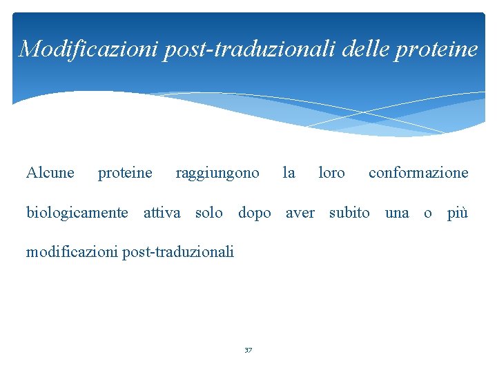 Modificazioni post-traduzionali delle proteine Alcune proteine raggiungono la loro conformazione biologicamente attiva solo dopo