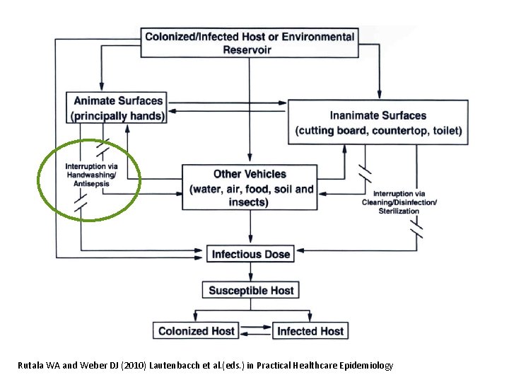 Rutala WA and Weber DJ (2010) Lautenbacch et al. (eds. ) in Practical Healthcare Rutala WA and Weber DJ (2010) Lautenbacch et al. (eds. ) in Practical Healthcare