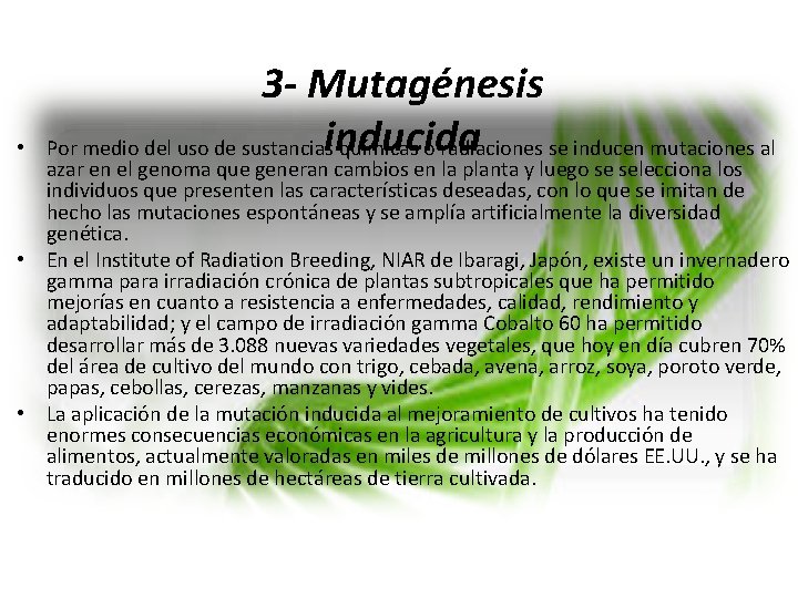  • 3 - Mutagénesis inducida Por medio del uso de sustancias químicas o