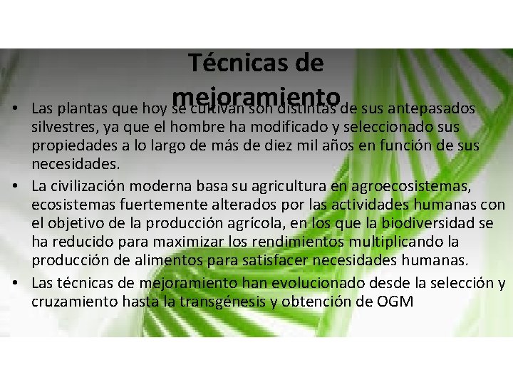  • Técnicas de mejoramiento Las plantas que hoy se cultivan son distintas de