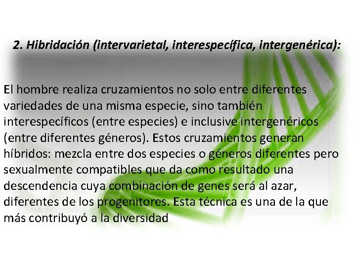 2. Hibridación (intervarietal, interespecífica, intergenérica): El hombre realiza cruzamientos no solo entre diferentes variedades