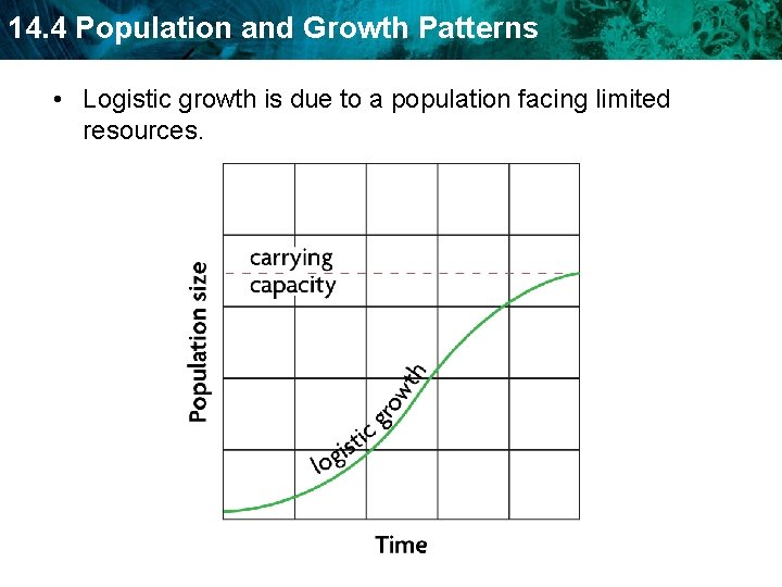 14. 4 Population and Growth Patterns • Logistic growth is due to a population
