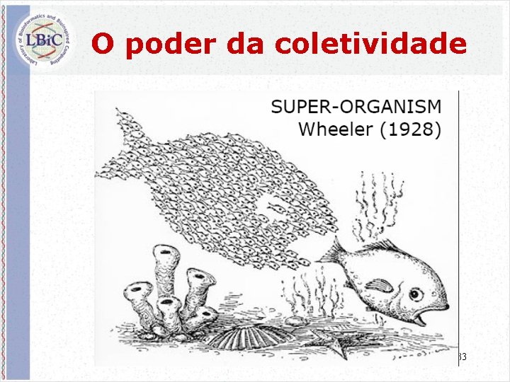 O poder da coletividade 33 