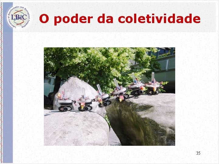 O poder da coletividade 35 