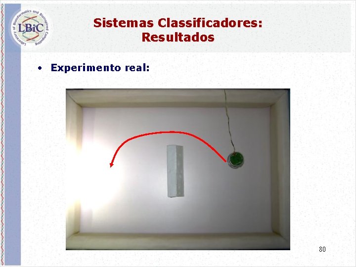 Sistemas Classificadores: Resultados • Experimento real: 80 