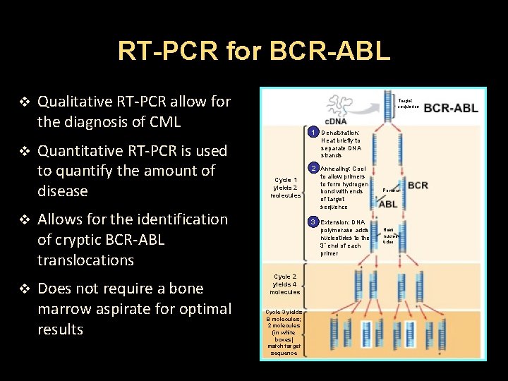 RT-PCR for BCR-ABL v v Qualitative RT-PCR allow for the diagnosis of CML Quantitative