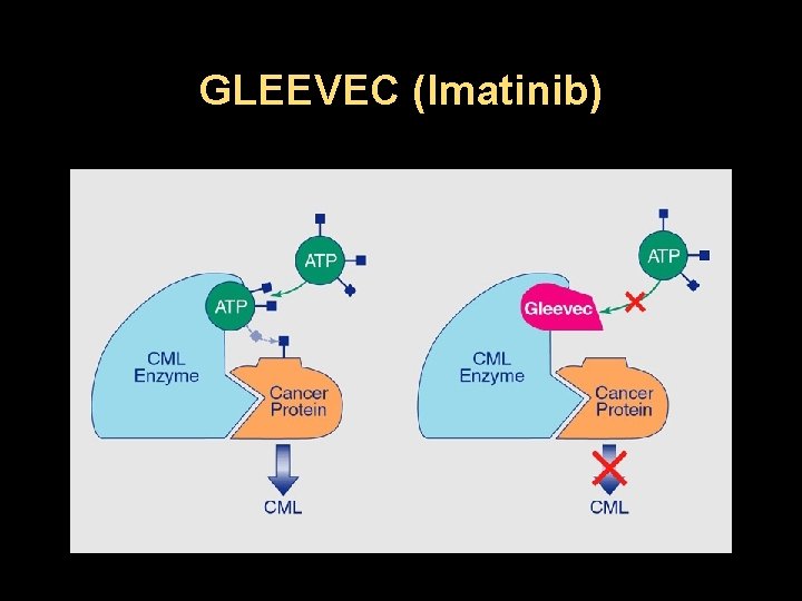 GLEEVEC (Imatinib) 