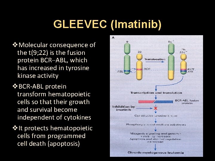 GLEEVEC (Imatinib) v. Molecular consequence of the t(9; 22) is the fusion protein BCR–ABL,
