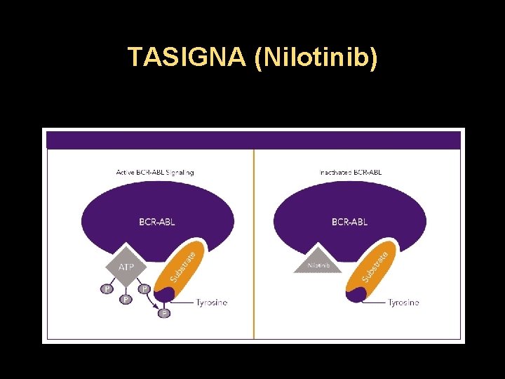 TASIGNA (Nilotinib) 