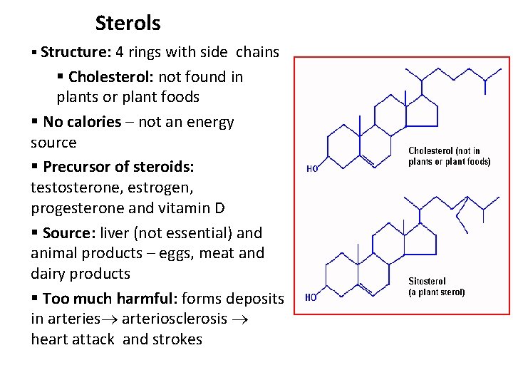 Sterols § Structure: 4 rings with side chains § Cholesterol: not found in plants