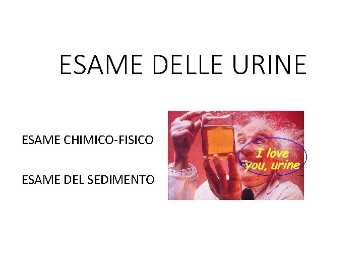 ESAME DELLE URINE ESAME CHIMICO-FISICO ESAME DEL SEDIMENTO 