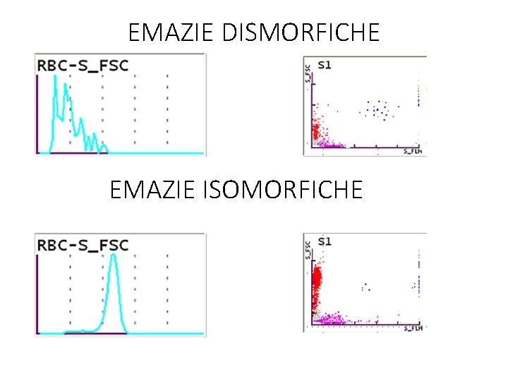 EMAZIE DISMORFICHE EMAZIE ISOMORFICHE 