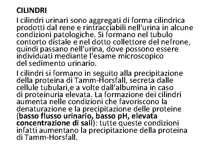 CILINDRI I cilindri urinari sono aggregati di forma cilindrica prodotti dal rene e rintracciabili