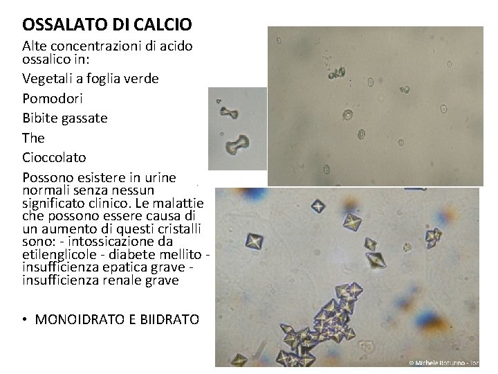 OSSALATO DI CALCIO Alte concentrazioni di acido ossalico in: Vegetali a foglia verde Pomodori