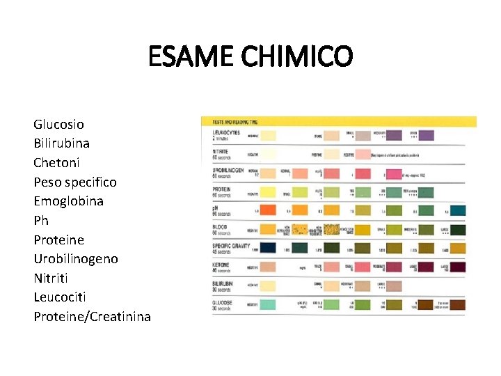 ESAME CHIMICO Glucosio Bilirubina Chetoni Peso specifico Emoglobina Ph Proteine Urobilinogeno Nitriti Leucociti Proteine/Creatinina