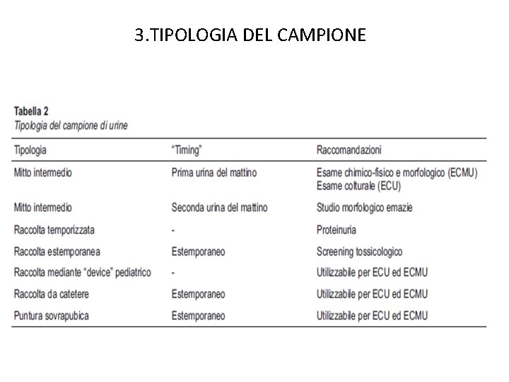 3. TIPOLOGIA DEL CAMPIONE 