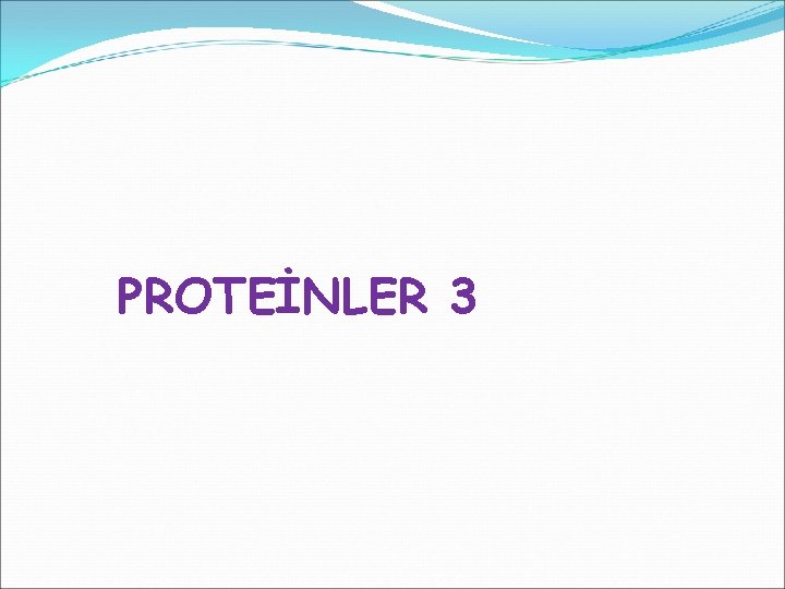 PROTEİNLER 3 