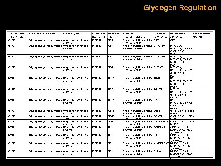 Glycogen Regulation Substrate Short Name GYS 1 Substrate Full Name Protein. Type Glycogen synthase,