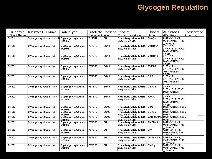 Glycogen Regulation Substrate Full Name Short Name Protein. Type Substrate Phospho- Effect of Swissprot